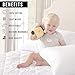 4-Pack 100% Cotton Pillow Protectors. 300 Thread Count Pillow Cover. Zippered Pillow Protectors. (King Size)