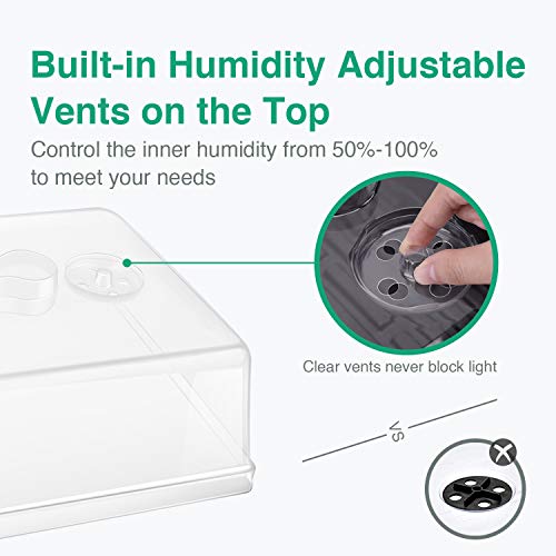 3 Humidity+Starting+Germination+Seedling+Propagation