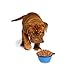 Vivifying Collapsible Dog Bowls, 2 Pack Silicone BPA Free Foldable Travel Dog Bowl for Feed and Water (Black+Blue)