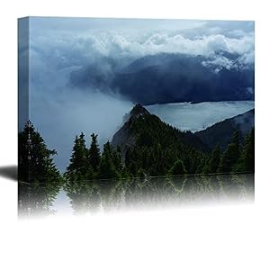 Landscape Covered by Fog