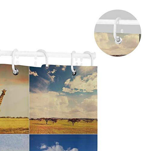 CHASOEA Unique Shower Curtain,African Safari Collage Lanscape with Native Animals Grassland Savannahs Mamals,Eco-Friendly with 12 Hooks in Bathroom W72xH96
