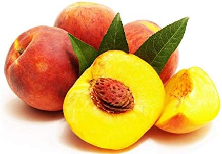 100ML | 200ML Flavour Concentrate for E Liquids Extra Strong DIY Vape Juice Mix | Mix with PG/VG for DIY Vape (Apricot, 100ml)