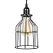 Rustic State Decorative Metal Cage Pendant Lamp by Rustic State with 15 Feet Toggle Switch Cord and Vintage Edison Light Bulb in Black