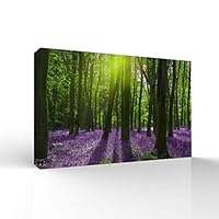 signwin-Canvas Wall Art-Sunshine in The Forest -Canvas Prints Home Artwork Decoration for Living Room,Bedroom - 12x18 inches