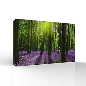 Canvas Wall Art-Sunshine in The Forest -Canvas Prints Home Artwork Decoration for Living Room,Bedroom - 12x18 inches