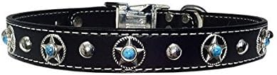 Rope Star Bezels &amp; Turquoise Stitched Leather Clip Collar 25"- 26"