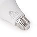 LED Daylight Bulbs 75-100 Watt Equivalent, 12W A19 LED Bulbs, Cool White 6500K, E26 Socket, Not Dimmable, Pack of 6