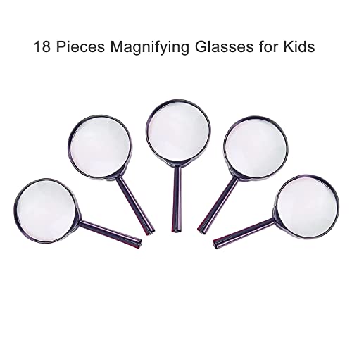 Hand Lens Definition Kid Friendly at Steven Gruber blog