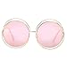 Pro Acme Women’s Double Circle Metal Wire Frame Oversized Round Sunglasses (Pink Mirrored Lens)