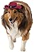 Rubie's Red Cowboy Hat for Dogs, M/L
