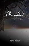 Stormbird by Karen Turner