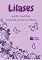 Livro Lilases; Conto