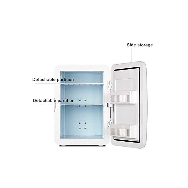 YANJ Portable Mini Fridge 12v 220v,Electric Cool Box Car refrigerator,Home And Car Dual Use Refrigeration And Heating Dual Use 20L Capacity 220V/12V LOLDF1