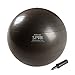 SPRI Professional Plus Xercise Ball, Balance Ball, 55-Centimeter
