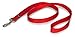 PetSafe Nylon Leash - Helps Maintain Secure Connection on Walks - Durable Pet Leash with Easy Clip - 1 in. x 4 ft. - Red