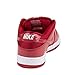 Nike Dunk Low Pro