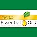 Air Wick Plug in Scented Oil 3 Refills, Woodland Mystique, Fall scent, Fall spray, (3x0.67oz), Essential Oils, Air Freshener, Packaging May Vary