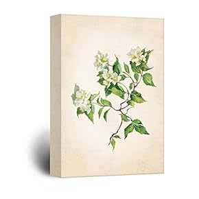 Watercolor Style White Flowers with Green Leaves
