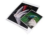 Printfile Crystal Clear Art Protectors Resealable Adhesive 13X19 - Printfile BOPP1319