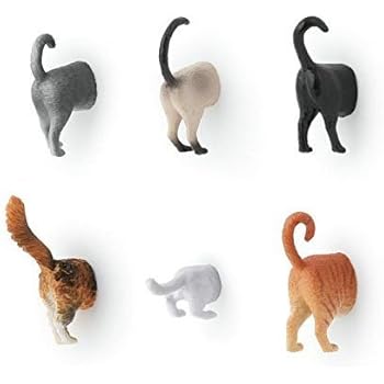 Hoovy Cat Butt Refrigerator Picture Magnets: 6 Cute & Funny Decorative Kitten Photo Magnets for Fridge| Cat Lover Gift Set