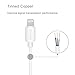 iphone 7 plus cable Delippo [Apple MFI Certified]3.3ft/1m Lightning USB Cable Sturdy Sync & Charge Cord for Apple iPhone 7 6s/6 Plus/ 5S/5C/5 iPad Air Ipod Series PowerLine [2 Pack]