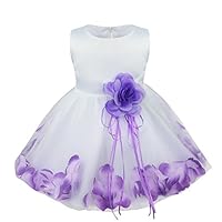 TiaoBug Baby Girls Flower Petals Bow Bridal Dress Princess Pageant Wedding Bridesmaid Christening Formal Party Ball Prom Gown Purple 18-24 Months