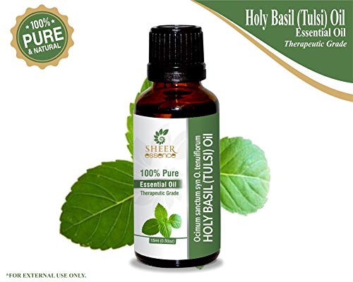Holy Basil (Tulsi) Oil (Ocimum Sanctum Syn O. Tenuiflorum) Essential Oil 100% Pure Natural Undiluted Uncut Therapeutic Grade Oil 0.51 Fl.OZ