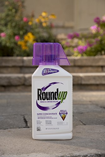 1 Roundup+Grass+Killer+Concentrate+35+2+Ounce