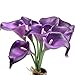 FRP Flowers 20 PCS Real Touch Calla Lily Flowers for Artificial Floral Arrangements, Bridal Bouquets, and Home Decor (Regal Purple)