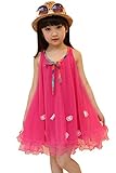 Kids Girls A-line Tulle Dress Sleeveless Sundress Bow Floral Skirt (2-3 Years, Rose Red)