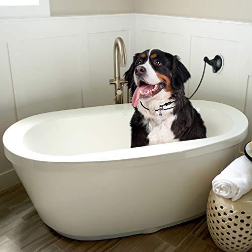 dog bathing tether