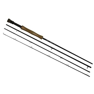 Fenwicks Hmg Canne à Pêche