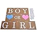 EBOOT Baby Shower Decorations Boy or Girl Banner Gender Reveal Bunting Flag Baby Gender Show Party Favors Pregnancy Announcement