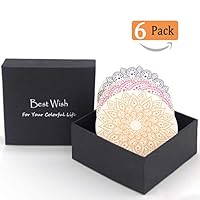 Classical Art Coasters For Drinks 6-Piece Absorbent Stone Coaster Set Cork Base Coasters Packed in Delicate Black Box, 4 Inch Cute Size