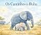 Livro Os caminhos de Buba (Guia para Pequenos Exploradores do Mundo Animal)