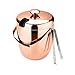 T-rainbow Insulated Double Walled Stainless Steel Ice Bucket for Parties, BBQ & Buffet with Tongs & Sealed Lid (3L) - Chiller Bin Basket for Wine and Beer, Firmly attached Handle, Strong Screw holder