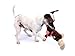 Charming Pet Products Pulleez Elephant Plush Dog Toy