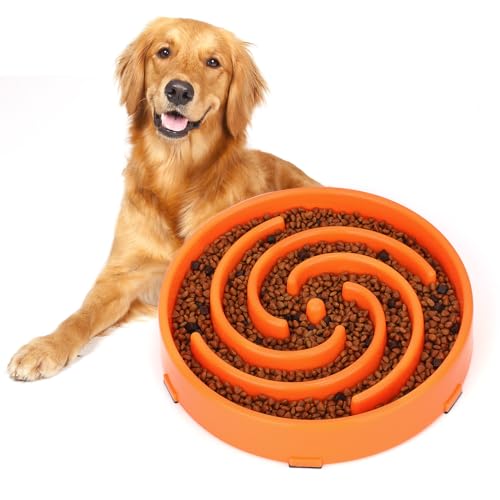 Slow Feeder Large Dog Bowl