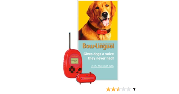 talking dog collar amazon