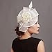 Aniwon Cocktail Pillbox Hat Fascinator Hair Clip Bridal Headwear for Women