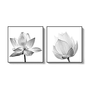 2 Piece Framed Canvas Wall Art for Living Room, Bedroom Transparent Flower Canvas Prints for Home Decoration Ready to Hang - 16"x16"x2 Panels