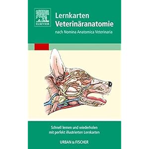 Lernkarten Veterinäranatomie/Veterinary Anatomy Flash Cards