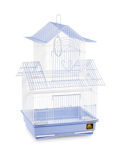 Prevue Hendryx SP1720-2 Shanghai Parakeet Cage, Blue and White