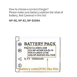 NP-80 USB Charger for Casio Exilim EX-G1, Exilim