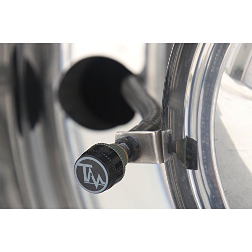 2-Pack Brass Transmitters for TireMinder TPMS (TMG400C, TM66 and A1A)