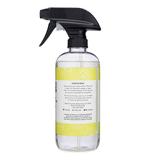 Molly's Suds Natural All Purpose Cleaner, Multi Surface Household Spray, Natural Lemon Burst Scent, 16 oz (2 Pack)