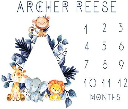 milestone baby boy blanket