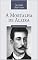 Livro A Mortalha de Alzira