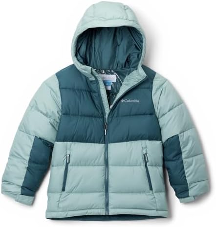 Amazon.com: The North Face Boy's Gotham Jacket (Little Kids/Big