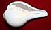 Blowing Conch Shell / Shankh 